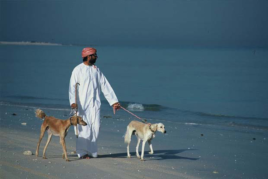 Saluki Centre in Abu Dhabi - VisitAbuDhabi.ae